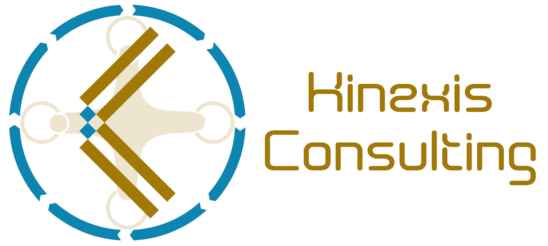Kinexis Consulting LLC